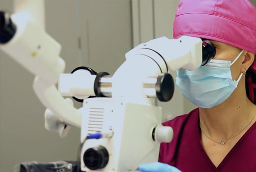 natalianavarrete-peke